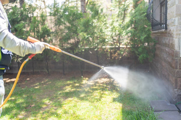 Best Residential Pest Control  in Broussard, LA